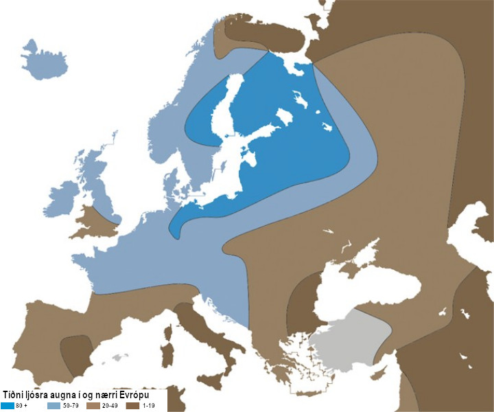 Tíðni blárra augna er ekki jöfn meðal hópa manna, og sýnir landfræðilegt mynstur. Tíðnin er lág í Norður-Afríku og Miðausturlöndum, en hæst í norðurhluta Evrópu. Tíðni blárra augna er ekki jöfn meðal hópa manna, og sýnir landfræðilegt mynstur. Tíðnin er lág í Norður-Afríku og Miðausturlöndum, en hæst í norðurhluta Evrópu.