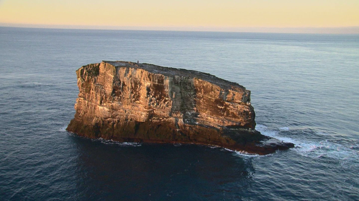 Þegar Geirfuglasker undan Reykjanesi eyðilagðist í eldsumbrotum 1830 leituðu þeir fáu fuglar sem eftir voru í Eldey. Þegar Geirfuglasker undan Reykjanesi eyðilagðist í eldsumbrotum 1830 leituðu þeir fáu fuglar sem eftir voru í Eldey.