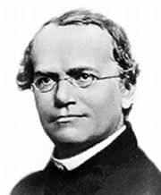 Johann Gregor Mendel (1822-1884)