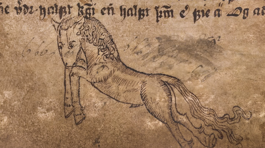 Upphafleg merking orðsins <em>kinnhestur</em> er hugsanlega sú að haus á hesti strýkst við kinn á manni í ati eða bardaga. Upphafleg merking orðsins <em>kinnhestur</em> er hugsanlega sú að haus á hesti strýkst við kinn á manni í ati eða bardaga.