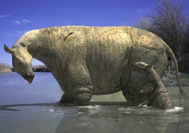 Mynd af Indricotherium