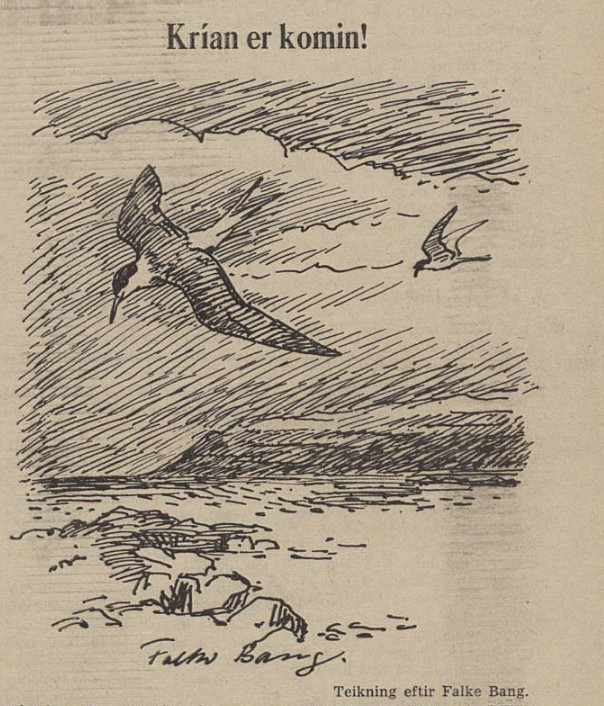 Teikning úr <cite>Tímanum</cite> 8. maí 1956. Teikning úr <cite>Tímanum</cite> 8. maí 1956.