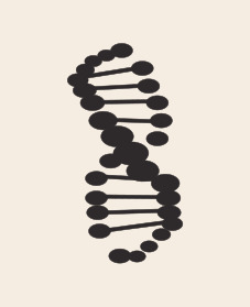  DNA