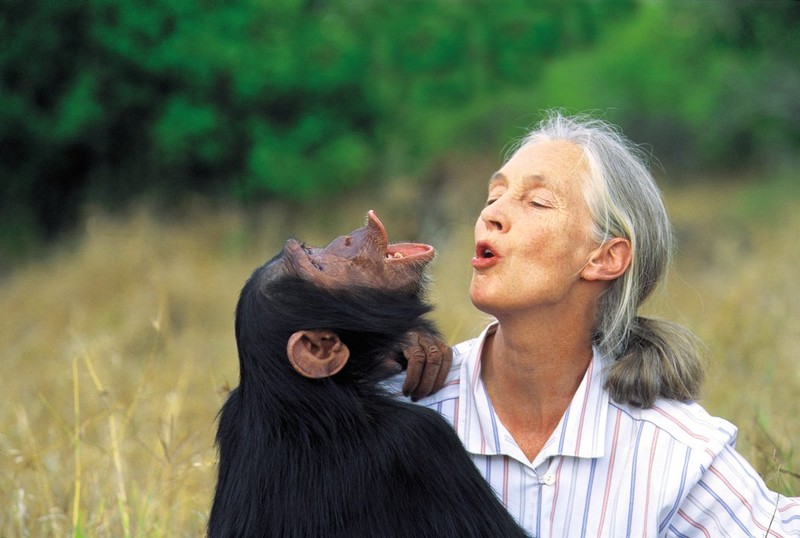 Jane Goodall