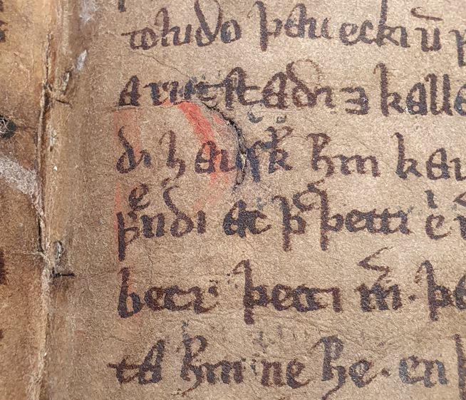 Skafinskinna er eina Íslendingasagnahandritið sem skrifað er á endurnýtt bókfelli eða uppskafning. Á myndinni sést rautt P sem var skafið burt.