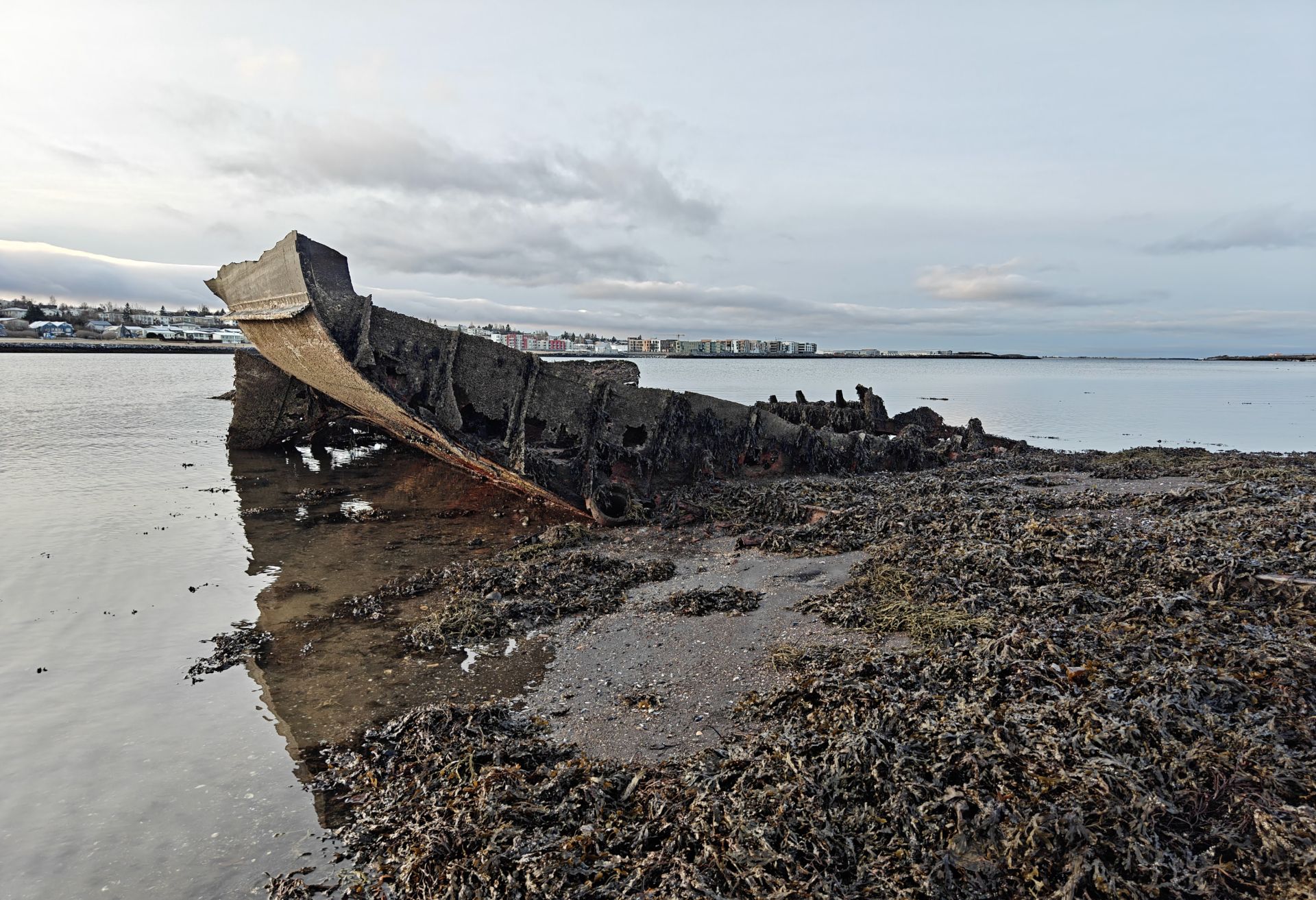 Skipsflakið í flæðarmálinu innarlega í norðanverðum Fossvogi er af togaranum Óla Garða GK-190. Hann slitnaði upp af ytri bryggjunni í Hafnarfirði í miklu hvassvirði 1953 og strandaði á skeri utan við Dysjarfjöru í Garðahverfi. Tveimur árum síðar var Óli Garða seldur til niðurrifs og endaði í fjörunni í Fossvogi. Skipsflakið í flæðarmálinu innarlega í norðanverðum Fossvogi er af togaranum Óla Garða GK-190. Hann slitnaði upp af ytri bryggjunni í Hafnarfirði í miklu hvassvirði 1953 og strandaði á skeri utan við Dysjarfjöru í Garðahverfi. Tveimur árum síðar var Óli Garða seldur til niðurrifs og endaði í fjörunni í Fossvogi.