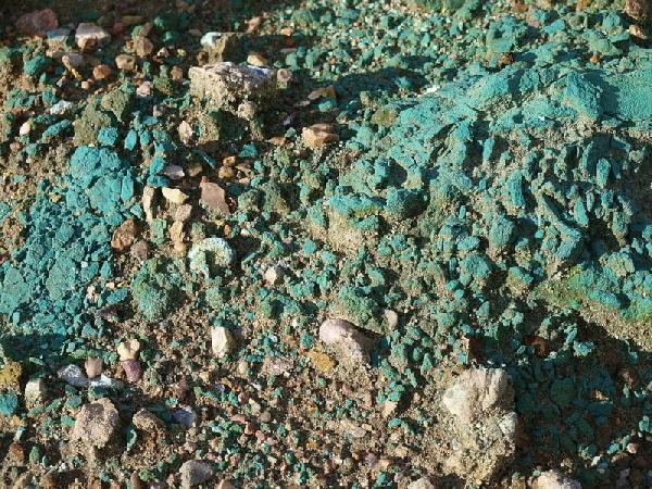 Hvað er arsen og hver eru helstu einkenni eitrunar af völdum þess?