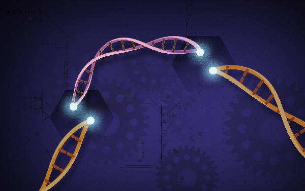 Hvað er CRISPR og hvernig virkar sú tækni?