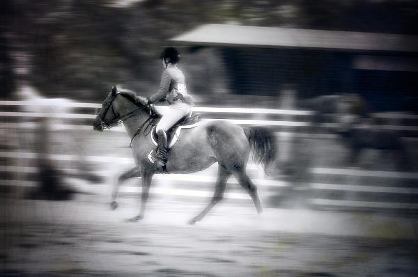 Hvað er að láta gamminn geisa?