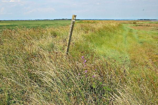 Hvað er slyðra og hvernig er hægt að reka af sér slyðruorðið?