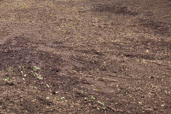 Hvernig er best að skilgreina hugtakið mold?