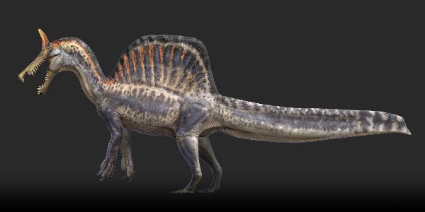 Hvað er vitað um risaeðlutegundina Spinosaurus mirabilis sem fyrst var lýst 2026?