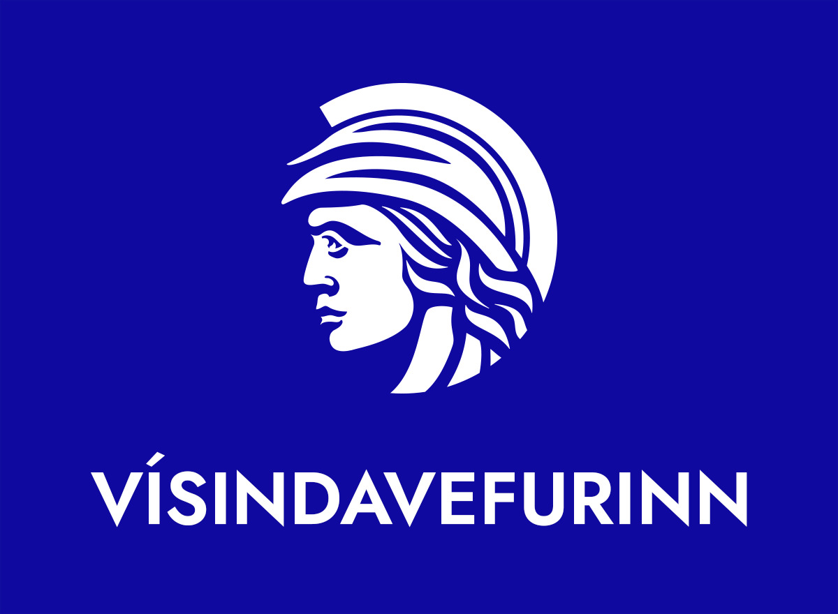 Hvað er læsi?